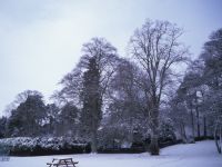 Across front at Clares