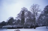 Across front at Clares