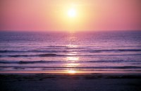 Beach Sunset