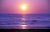 Beach Sunset