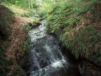 Stream at North Esk
