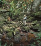 Fly fishing at River North Esk