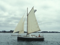 Gaff-rigged sloop