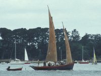 Traditional gaff-rigged schooner