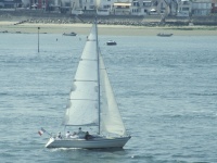 Sloop