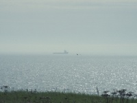 Seagull, supply boat