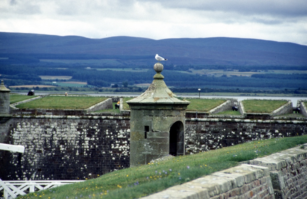 Fort George